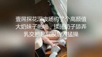 壹屌探花深夜场约了个高颜值大奶妹子啪啪，揉搓奶子舔弄乳交翘起屁股后入猛操