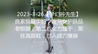 2023-3-26【梦幻谷先生】良家极品少妇，宝马女护肤品老板娘，第二炮全力猛干，黑丝高跟鞋，怼入骚穴爆操