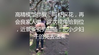 高精模型修复，阿朴探花，再会良家人妻，这次视角给到位，近景多姿势抽插，把小少妇干的死去活来