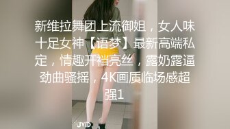 新维拉舞团上流御姐，女人味十足女神【语梦】最新高端私定，情趣开裆亮丝，露奶露逼劲曲骚摇，4K画质临场感超强1