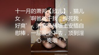 十一月的萧邦【欣儿】，猫儿女，‘啊爸爸干我，操死我，好爽’，浴室马桶墙上安插自慰棒，一屁股坐下去，顶到淫心，爽哦！