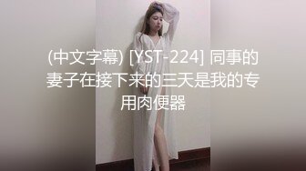 (中文字幕) [YST-224] 同事的妻子在接下来的三天是我的专用肉便器