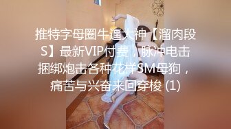 推特字母圈牛逼大神【溜肉段S】最新VIP付费，脉冲电击捆绑炮击各种花样SM母狗，痛苦与兴奋来回穿梭 (1)