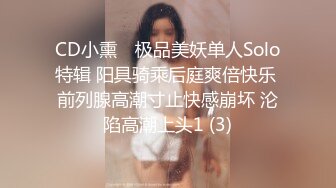 CD小熏✨ 极品美妖单人Solo特辑 阳具骑乘后庭爽倍快乐 前列腺高潮寸止快感崩坏 沦陷高潮上头1 (3)