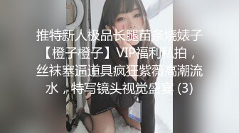 推特新人极品长腿苗条烧婊子【橙子橙子】VIP福利私拍，丝袜塞逼道具疯狂紫薇高潮流水，特写镜头视觉盛宴 (3)