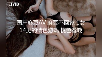 国产麻豆AV 麻豆不回家 1女14男的情色游戏 桃色春晚