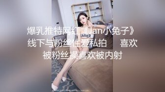 爆乳推特网红《Jan小兔子》线下与粉丝性爱私拍❤️喜欢被粉丝操喜欢被内射