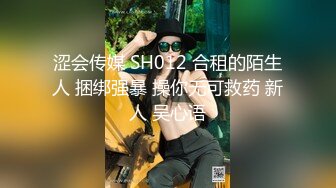 涩会传媒 SH012 合租的陌生人 捆绑强暴 操你无可救药 新人 吴心语