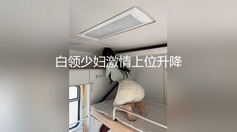 白领少妇激情上位升降