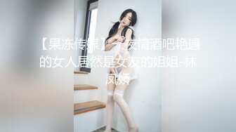 【果冻传媒】一夜情酒吧艳遇的女人居然是女友的姐姐-林凤娇