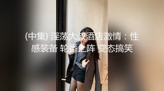 (中集) 淫荡大叔酒店激情：性感装备 轮番上阵 变态搞笑