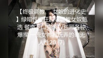 【终极调教❤️女奴的进化史】绿帽性爱狂超级调教女奴甄选 餐桌下口交 KTV包厢各种爆操 一流女神被玩弄的毫无人性20 (7)