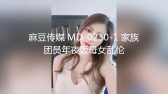 麻豆传媒 MD-0230-1 家族团员年夜饭母女乱伦