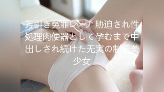 万引き冤罪レ×プ 胁迫され性処理肉便器として孕むまで中出しされ続けた无実の制服美少女