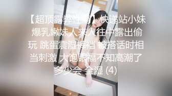 【大象传媒】av-0022 零下的保暖肉棒-莉莉