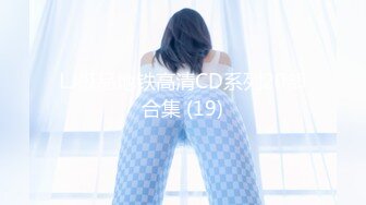 LJ极品地铁高清CD系列20部合集 (19)