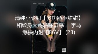 清纯小少妇【多功能小甜甜】和纹身大哥啪啪口爆 一字马爆操内射【86V】 (23)