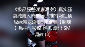 《极品反差淫妻泄密》真实骚妻纯男人肉便器！推特网红顶级绿帽奴淫妻5年路程【超辣】私拍，按摩 炮机 露出 SM调教 (3)