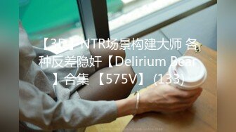 【3D】NTR场景构建大师 各种反差隐奸【Delirium Bear】合集 【575V】 (133)